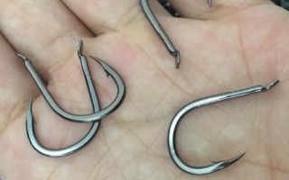伊勢(shì)尼釣鰱鳙用多大的鉤，需要參考魚(yú)的體型