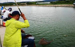 釣白條魚可以用什么餌料，腥餌還是香餌效果都很不錯(cuò)