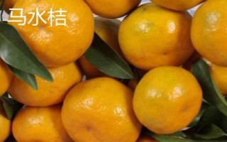 橘子的產(chǎn)地分布，主產(chǎn)于廣東、湖南、四川、廣西等省份