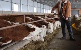 養(yǎng)殖戶對于飼料成本與飼養(yǎng)成本的誤區(qū)，飼料成本越低越好是一種錯誤的想法