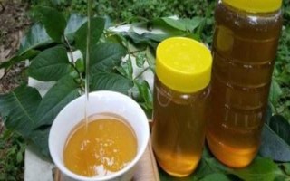 百花蜜簡介，百花蜜沒有固定的蜜源