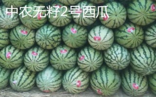 早春紅玉西瓜有沒有籽，屬于早熟有籽品種