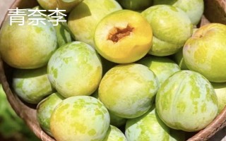 綠色的李子品種，常見的有蜂糖李、脫骨李等