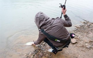 釣鮰魚適合用雞肝還是豬肝，二者效果差不多