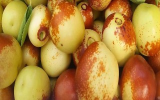 山東臨邑縣的特產(chǎn)，常見(jiàn)的有理合冬棗、中華壽桃等