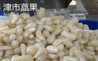 湖南津市的特產(chǎn)，津市牛肉粉是地方特色