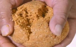 垂釣鳊魚的適宜深度，0.5-1米的深度較合適