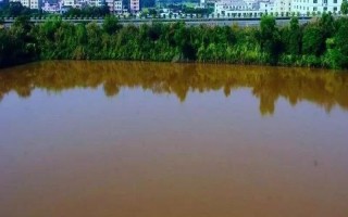 養(yǎng)殖水體中產(chǎn)生水銹怎么辦，在養(yǎng)殖之前就需要進(jìn)行徹底的清塘