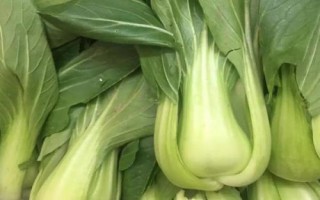 兔子的食物，一般喜食青草