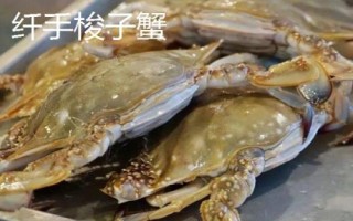 白蟹和梭子蟹有什么區(qū)別，二者沒有區(qū)別只是叫法不同