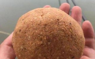 冬天釣草魚用什么釣，活的蚯蚓效果好