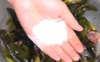 怎么清洗黃骨魚，用水沖洗后再用開水燙一下
