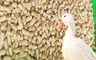 給肉鴨配制飼料的原則，不能一次性配制過多
