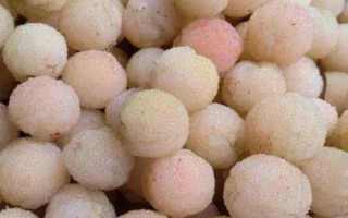 白楊梅的產(chǎn)地，主要產(chǎn)自浙江的上虞、余姚、福建等地