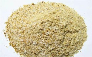 六月份能釣鯉魚，六月份的垂釣效果比較好