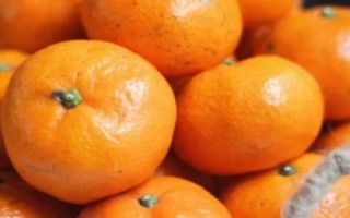 橘子幾月份成熟上市，通常都是在10月份以后開始成熟