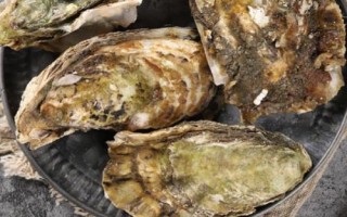 生蠔開殼方法，經(jīng)過蒸煮會自然開嘴