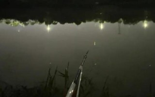 夜釣用蚯蚓還是餌料好，取決于魚情、釣法、環(huán)境