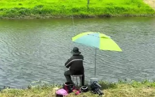 化氏大板鯽的味型，味型屬于天然谷物型
