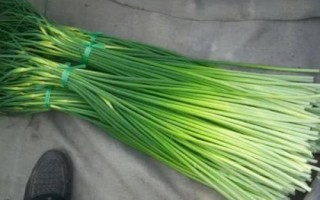 蒜苔的保存時(shí)間，主要取決于保存環(huán)境