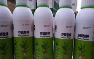 亞磷酸鉀與亞磷酸二氫鉀有什么區(qū)別，亞磷酸鉀可抑制部分病害