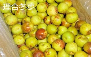 山東臨邑縣的特產(chǎn)，常見(jiàn)的有理合冬棗、中華壽桃等