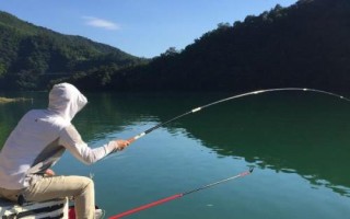 為什么黑漂后釣不起來，最常見的是小魚鬧窩