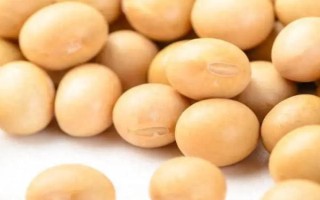 受歡迎的大豆品種有哪些，常見的有中黃35、中黃301等