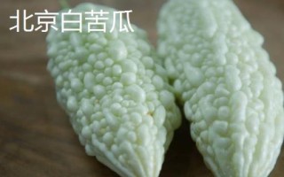 優(yōu)良的苦瓜品種，包括滑身苦瓜、長身苦瓜、夏豐苦瓜等種類