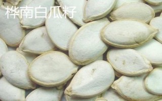 黑龍江樺南縣的特產(chǎn)，樺南白瓜籽遠(yuǎn)銷海外