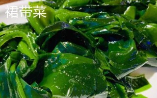 裙帶菜的產(chǎn)地，主要分布在舟山群島與嵊泗島