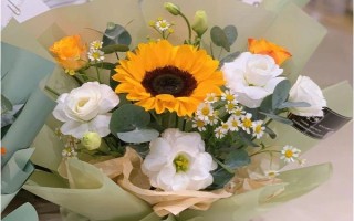 代表思念的花有哪些，有天堂鳥、百日草、蝴蝶花等