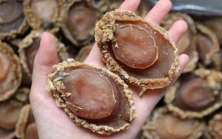 最貴的水產(chǎn)動(dòng)物是哪十種,包括藍(lán)龍蝦、帝王鮭、鵝頸藤壺等種類