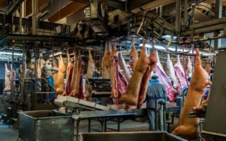 開辦屠宰場需辦理的手續(xù)，包括屠宰許可證、排污許可證及動物防疫條件許可證等