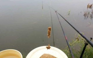 春季怎么釣青魚(yú)，在仲春作釣可增加釣獲率