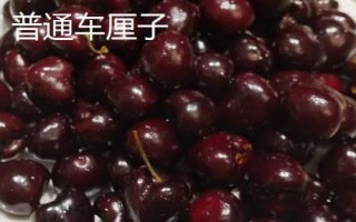金車?yán)遄优c普通車?yán)遄拥膮^(qū)別，顏色、大小和口感均不同