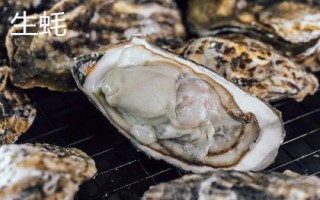 牡蠣和生蠔有什么區(qū)別，牡蠣的裙邊較清晰打開后具有大量汁水