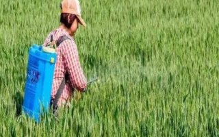 草銨膦與草甘膦的區(qū)別，成本、類型、見效時間等均不同