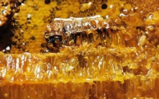 假蜂巢蜜怎么鑒別，一般只有糖漿味且形狀比較規(guī)則