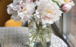芍藥鮮花的水養(yǎng)方法，使用細(xì)口的容器水養(yǎng)為佳