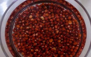 種植紅豆的時(shí)間和方法，一般為每年5-6月份