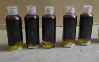釣鯉魚如何才能避開白條鬧窩，可以使用素餌