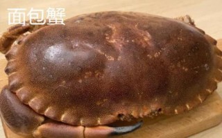 面包蟹和珍寶蟹的區(qū)別，產(chǎn)地、外形和價(jià)格均不同