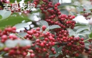 山西省陽泉市盂縣的特產(chǎn)，棗介糕是家喻戶曉的美食