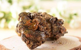 蜂膠有哪些品種以及如何選購，可分為原膠、純膠、蜂膠口服液、蜂膠軟膠囊