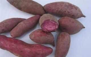 紫薯和紅薯的區(qū)別，前者味甜較貴、后者甜味淡較便宜
