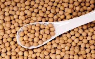受歡迎的大豆品種有哪些，常見的有中黃35、中黃301等