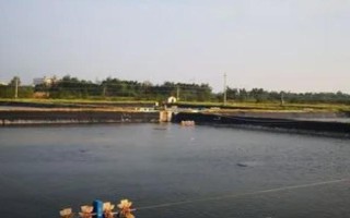 羅氏沼蝦的養(yǎng)殖條件，土壤以壤土、黏土為佳
