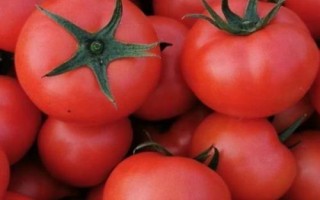 哪些農(nóng)作物在秋季成熟，包括花生、玉米、西紅柿等品種
