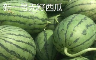 早春紅玉西瓜有沒有籽，屬于早熟有籽品種